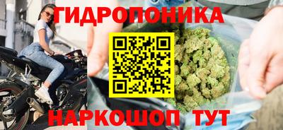 трава Ставрополь
