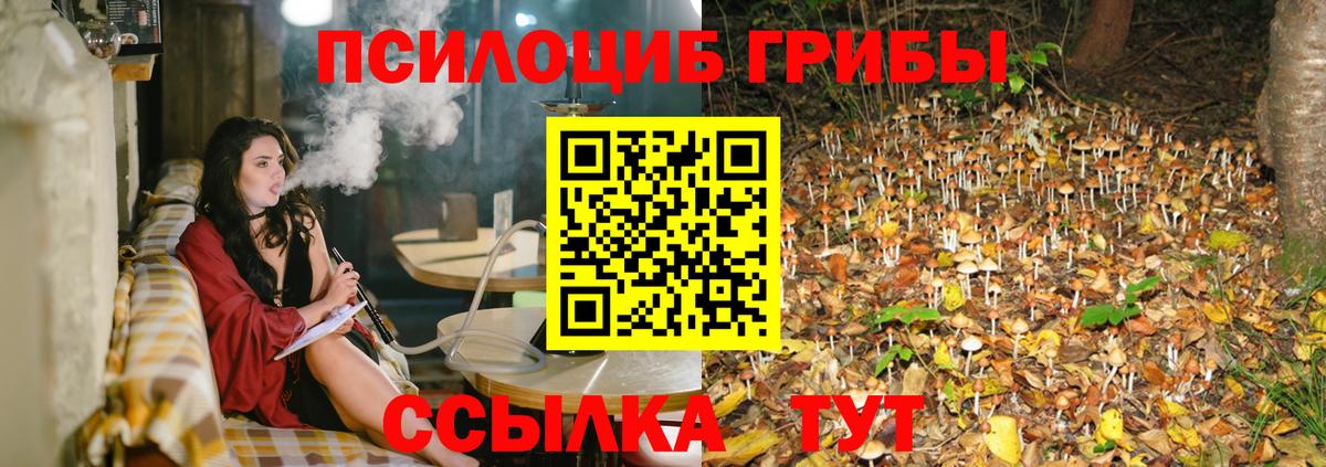 Галлюциногенные грибы GOLDEN TEACHER Оренбург