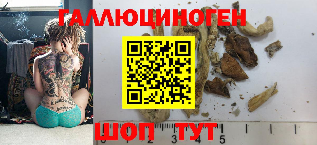 Бошки Шишки Оренбург