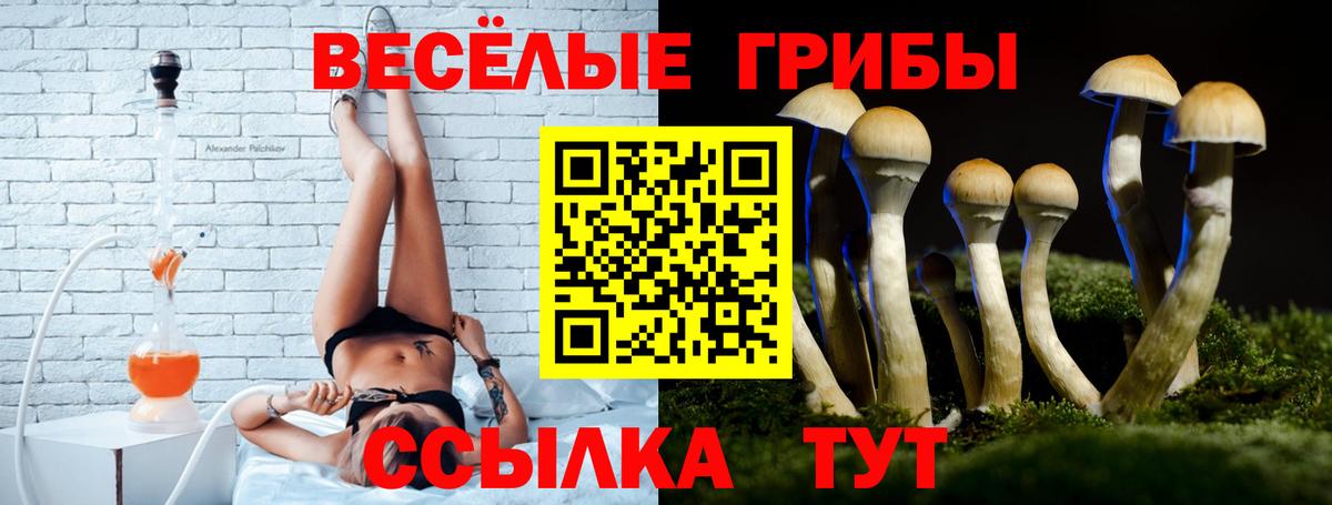 Галлюциногенные грибы Cubensis  Вход с VPN  Псилоцибиновые грибы Cubensis  Оренбург 